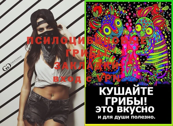 гидра Новозыбков