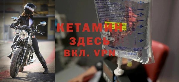 гидра Новозыбков