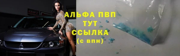 гидра Новозыбков