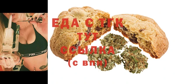 гидра Новозыбков