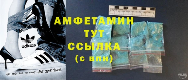 индика Пенза