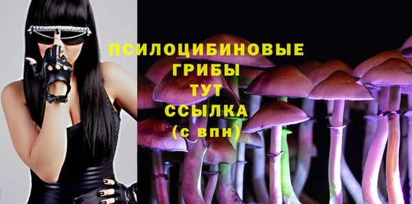 гидра Новозыбков