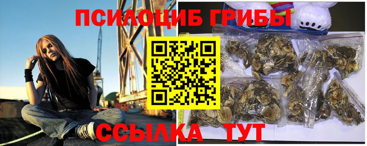 Курчатов  купить наркотик  Вход с VPN  Псилоцибиновые грибы Psilocybine cubensis 