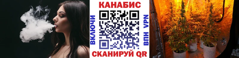 Каннабис OG Kush  Курчатов 